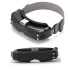 FPV Skyzone SKY04X V2 OLED 5.8G – FPV окуляри з StedyView